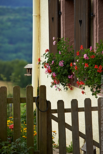 © Stephane SPACH / Offices de Tourisme du Pays Bruche Mossig Piémont