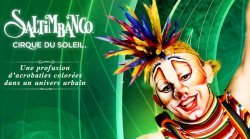 Affiche du spectacle Saltimbanco