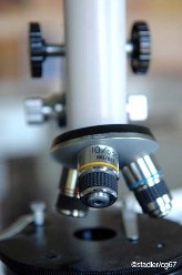 L’Alsace gagne en attractivité et en excellence scientifique