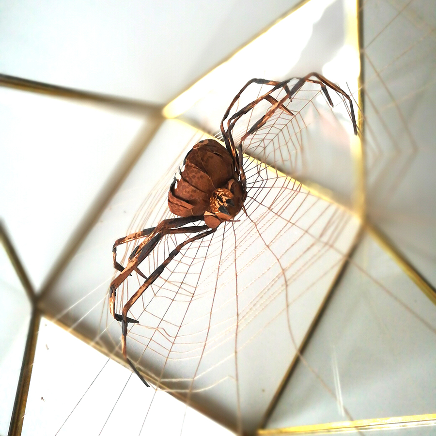 Pauline FAURE, créatrice d'illustrations en papier