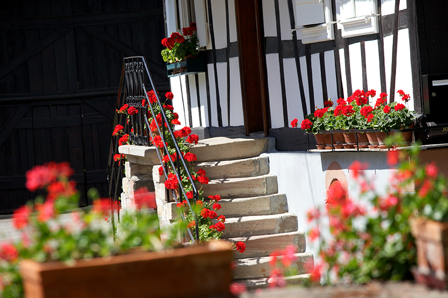 ©Adéan _SO_M.Anglada