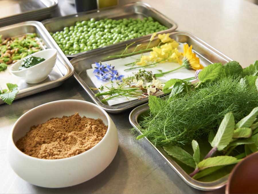 AAA - l'Alchemille - Kaysersberg AAA - l'Alchemille - Kaysersberg