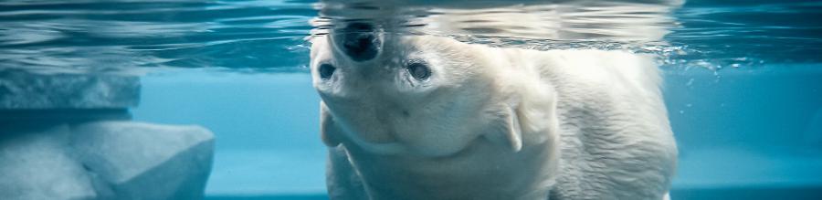 Parc Zoologique et Botanique de Mulhouse Parc Zoologique et Botanique de Mulhouse